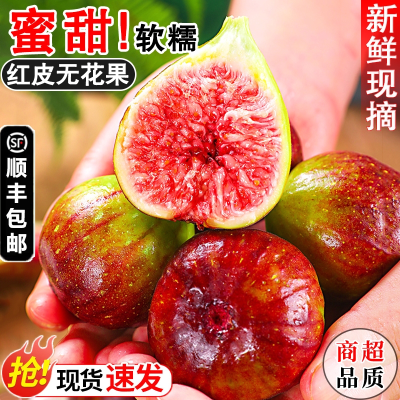 顺丰包邮云南红皮无花果新鲜大果果园当季孕妇软水果现摘树上果子