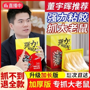 老鼠粘强力胶粘鼠板专抓大老鼠贴家用扑捉器驱赶捕鼠神器超强新款
