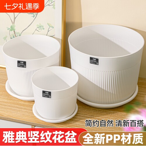 塑料大号家用花盆|超1万次加购