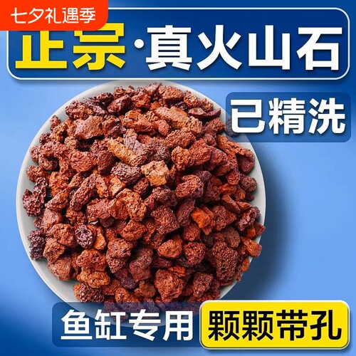 天然火山石颗粒底砂多肉兰花
