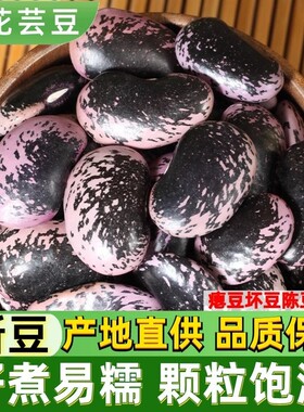 大黑花芸豆新货云南农家黑豆大肾豆新鲜牛眼豆特大花腰豆紫黑云豆