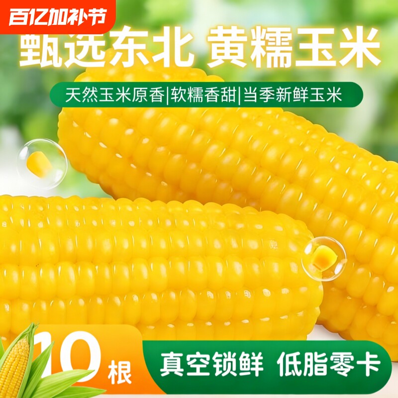东北黄糯玉米新鲜粘玉米非转基因真空装早餐10支玉米粒粒香甜软糯