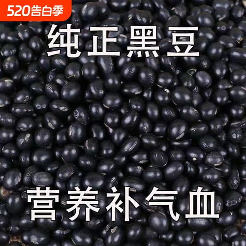 绿心黑豆老品种绿芯青仁豆类新货