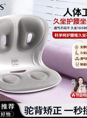 OES护腰坐姿椅人体工学支撑靠垫