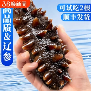 大连海参即食独立包装袋辽参刺参海渗鲜活海鲜礼盒官方旗舰店水产