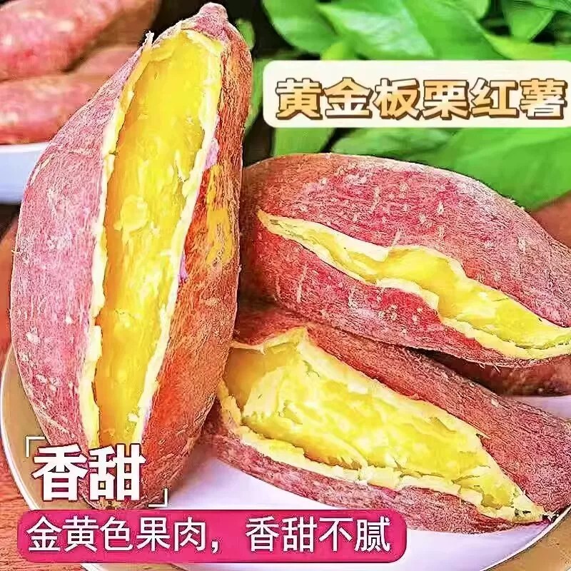 现挖新鲜板栗红薯粉糯栗面5斤黄心板栗薯地瓜蜜薯山芋沙地本地