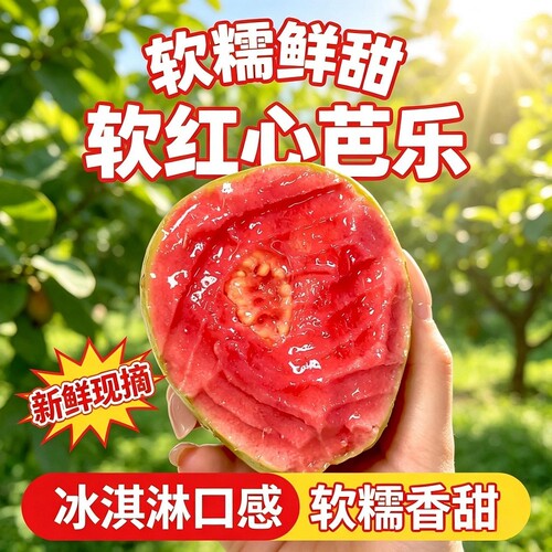 红白心芭乐番石榴软糯软心