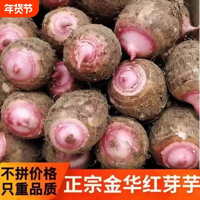 浙江金华新鲜红芽芋艿现挖毛芋小芋头芋子农家蔬菜5/3斤香芋软糯