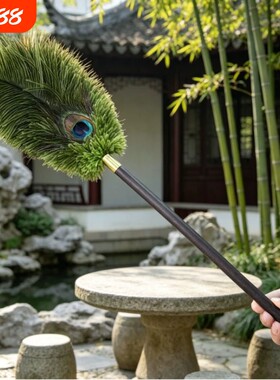 孔雀毛掸子鸵羽掸家用桌面清洁