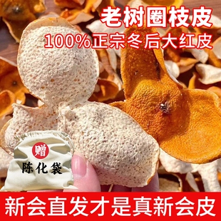 新会梅江茶枝柑2024当年新皮大红皮广东江门正宗老陈皮干橘皮泡水