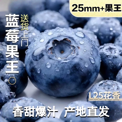 云南蓝莓新鲜水果顺丰鲜果脆甜现摘L25花香高山孕妇整箱包邮大果
