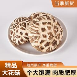 随州香菇神龙架大花菇干货椴木香菇菌菇蘑菇冬菇香茹批发农家特产