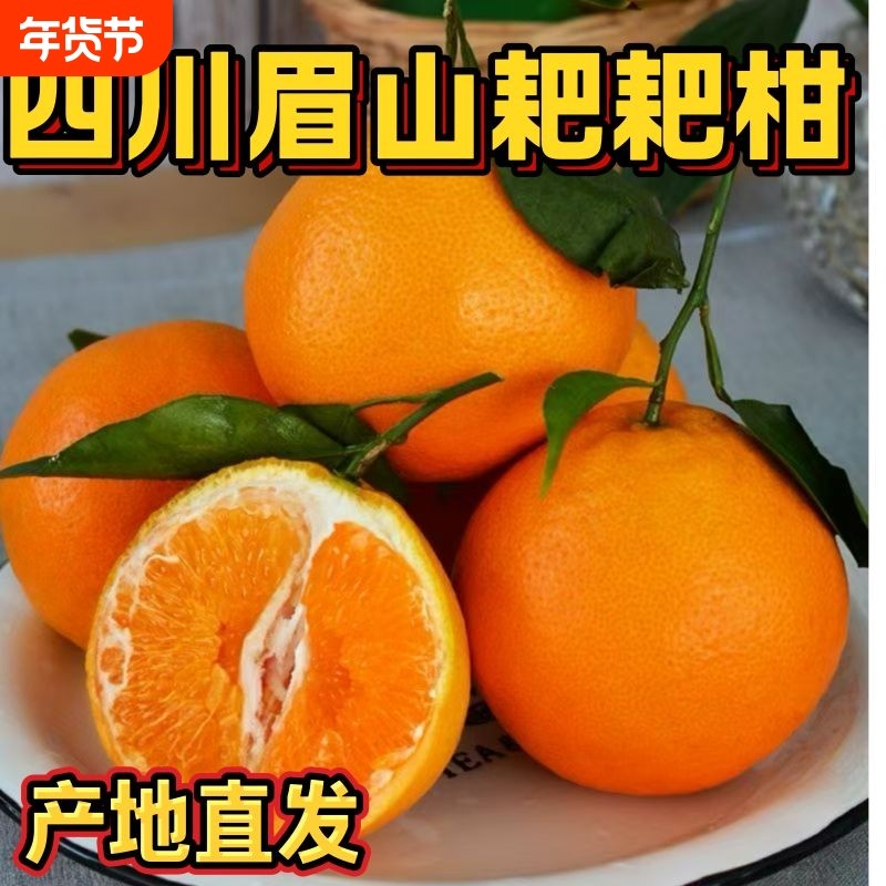 四川粑粑柑正宗眉山耙耙柑橘子整箱发货孕妇新鲜水果柑橘年货节,水产肉类/新鲜蔬果/熟食,桔子,淘宝优惠券,粉丝福利购,淘宝优惠卷