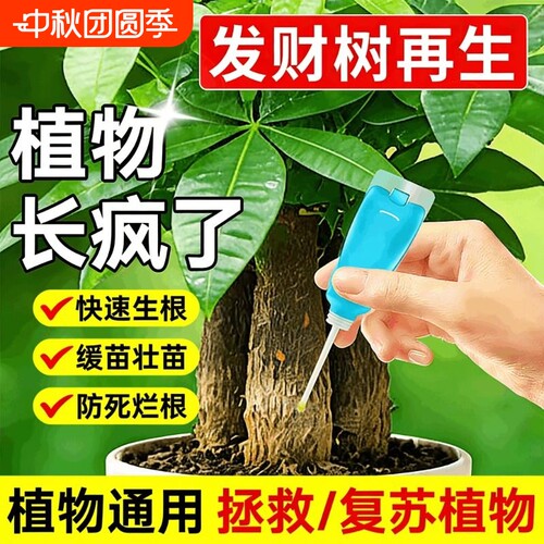 发财树营养液专用再生剂黄叶枯叶烂根专用盆栽植物再生复活液肥料