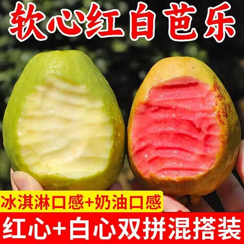 广西奶油双拼冰淇淋芭乐红心白心新鲜番石榴脆甜孕妇水果批发包邮