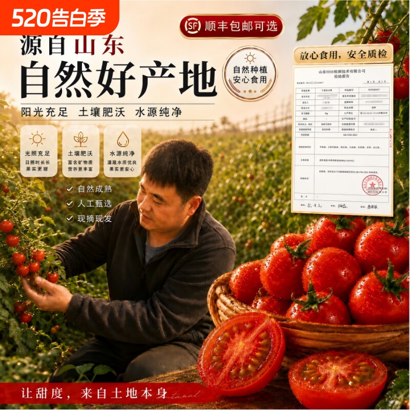 山东千禧果小番茄新鲜水果千玺圣女果小西红柿蔬菜顺丰包邮可选