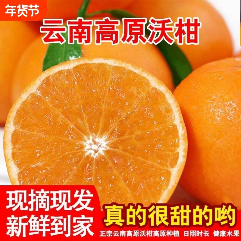 新鲜沃柑云南正宗高山桔子蜜橘香甜多汁新鲜当季水果皮薄大果柑橘,水产肉类/新鲜蔬果/熟食,桔子,淘宝优惠券,粉丝福利购,淘宝优惠卷