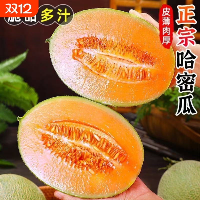 海南哈密瓜新鲜水果斤疆西州蜜瓜当季老汉瓜网纹甜瓜香