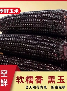 山西新鲜甜糯真空包装大玉米棒黄色速食早餐2025绿色认证8根大棒