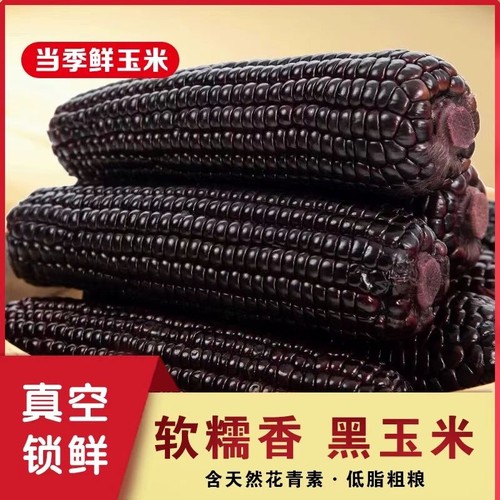 山西新鲜甜糯真空包装大玉米棒黄色速食早餐2025绿色认证8根大棒