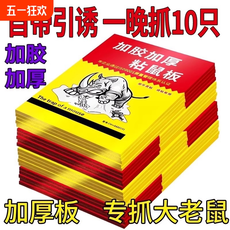 ǿճ塿5ճ ǿճ峬ǿճһץ305.89Ԫ
