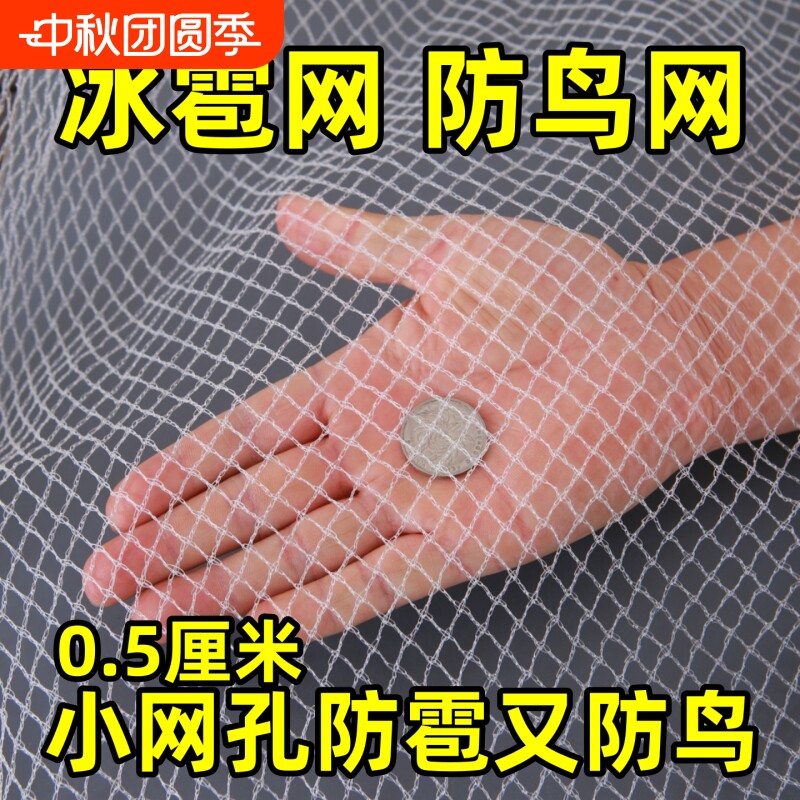 防雹网果园防鸟网樱桃葡萄嘉宝果树防小鸟用的网防冰雹专用防护网图片