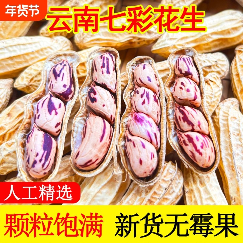 云南七彩花生带壳原味水煮咸干晒干熟花生米特色不上火年货节新货