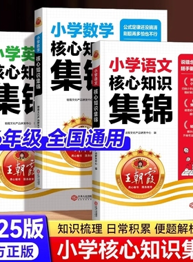 2025版王朝霞核心知识集锦大盘点小学语文数学英语五六年级小升初六6年级下册必刷题教材必背知识点总汇小考考点系统总复习资料书