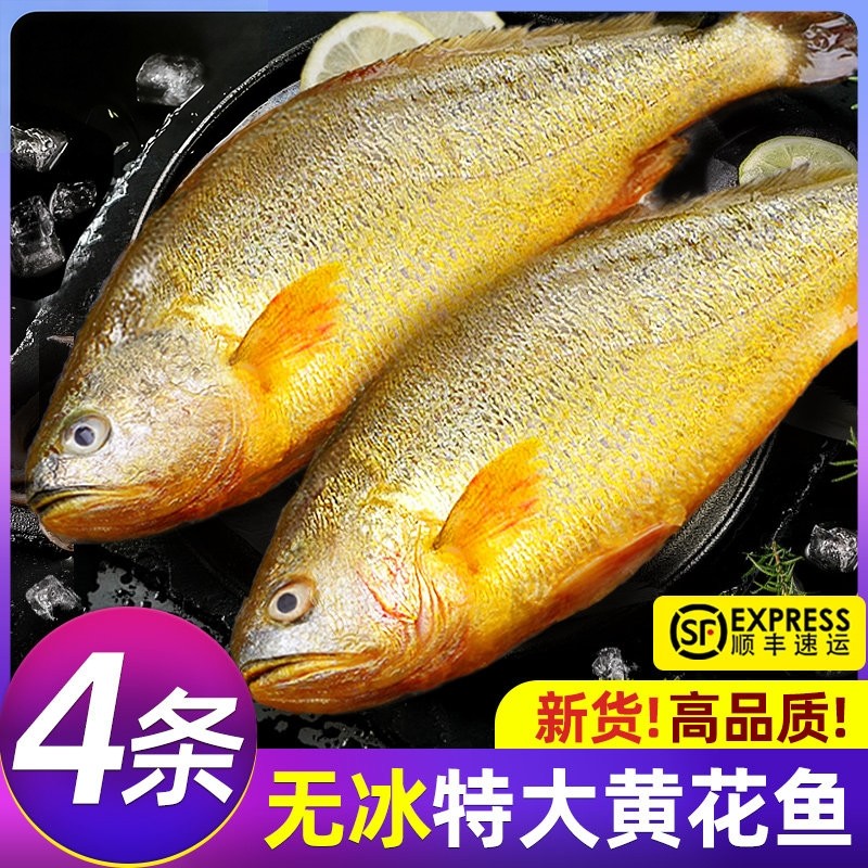 黄花鱼新鲜冷冻黄鱼鲜活生鲜深海鱼黄鱼鲞小黄鱼宁德商用,水产肉类/新鲜蔬果/熟食,黄鱼,淘宝优惠券,粉丝福利购,淘宝优惠卷