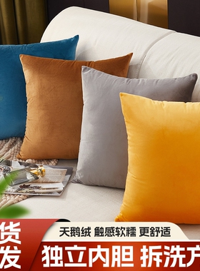 抱枕靠垫沙发不含芯腰靠枕天鹅绒靠背垫抱枕套内胆枕芯客厅可拆洗
