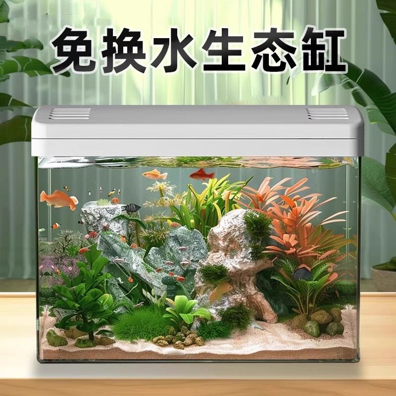 鱼缸客厅家用2025新款过滤制氧一体专业造景金鱼斗鱼小型生态缸