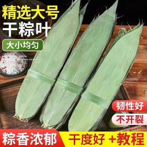 粽子叶粽叶干大号棕叶新鲜包粽子的竹叶子干粽叶商用箬叶材料