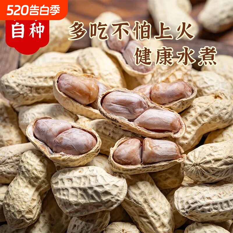 龙岩花生水煮白晒花生零食蒜香花生薄皮休闲正宗原味炒货香酥坚果