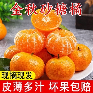 砂糖桔子时令水果现摘现发 新鲜水果当季 25年广西砂糖橘整箱 包邮