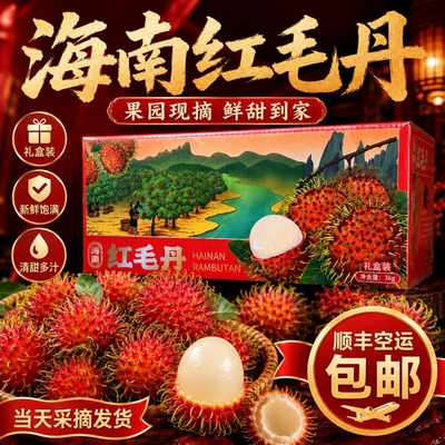 海南保亭红毛丹新鲜毛荔枝礼盒
