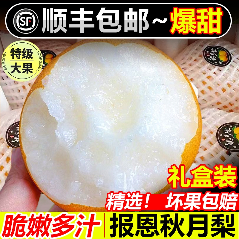 正宗莱阳秋月梨山东大果新鲜水果当季10斤整箱脆甜新鲜梨当季现摘