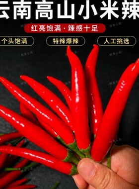 云南农家自种新鲜小米辣包邮到家