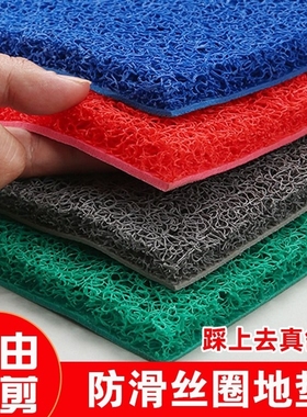 入户门口脚垫地垫塑料丝圈门垫地毯室外家用防滑垫子蓝色进门户外