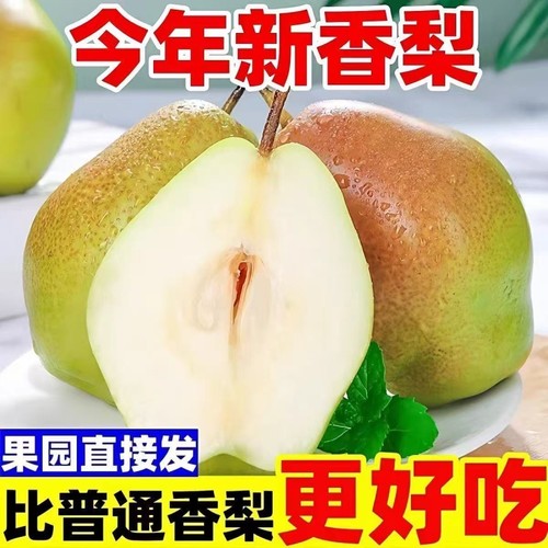 正宗红香酥梨特级高山酥梨新鲜梨子当季香酥青皮水果应季整箱批发