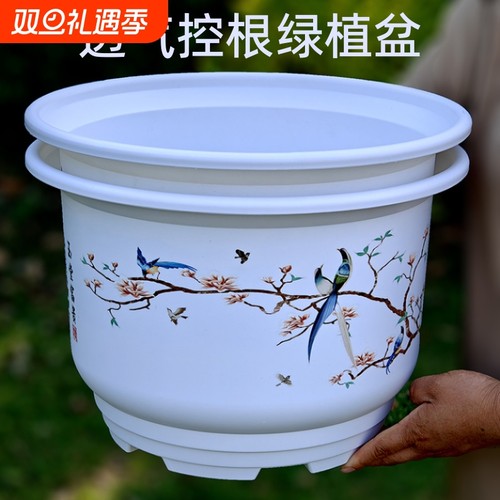绿萝高档白色花盆|超6000次加购