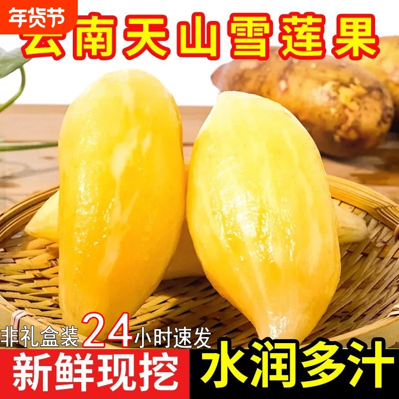 云南天山雪莲果高原脆甜当季现挖新鲜水果清甜多汁雪莲果整箱10斤,水产肉类/新鲜蔬果/熟食,雪莲果,淘宝优惠券,粉丝福利购,淘宝优惠卷