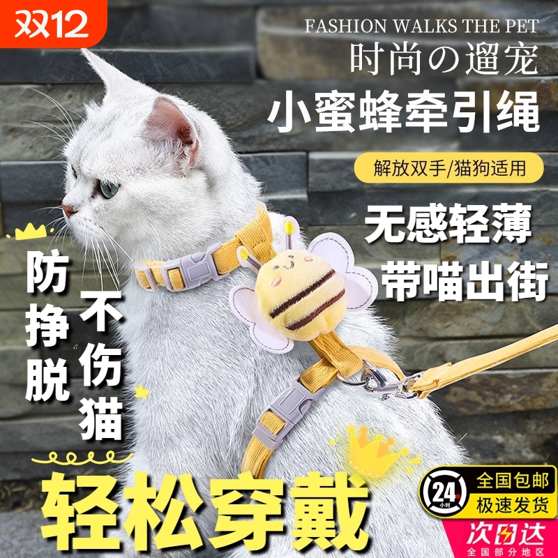 猫咪牵引绳防挣脱外出专用遛猫