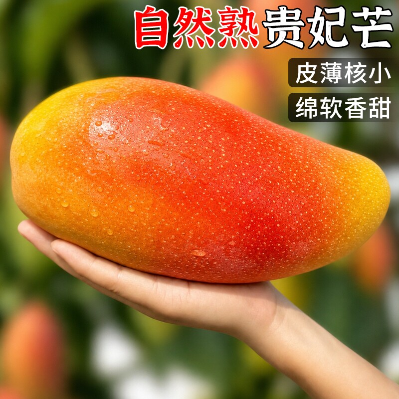 海南贵妃芒  新鲜时令水果现摘现发孕妇老少皆宜热带水果整箱包邮