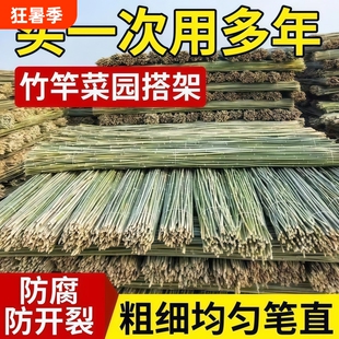 小竹杆爬藤架竹竿菜园搭架豆角竹篱笆彩旗竹竿子花架围栏竹子黄瓜
