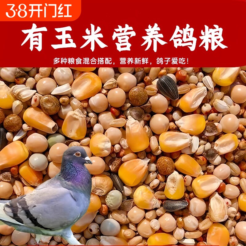 鸽子饲料粮食无玉米幼鸽粮信鸽元宝鸽鸟食赛鸽营养10斤包邮混合