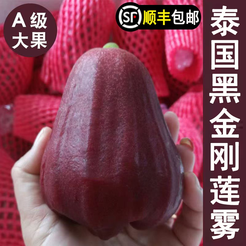 顺丰包邮 泰国进口黑金刚莲雾精选大果5斤新鲜应当季水果整箱