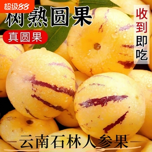 云南石林人参果新鲜当季水果应季整箱七彩果树上熟圆果包邮优选