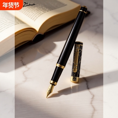 毕加索成人商务钢笔练字用
