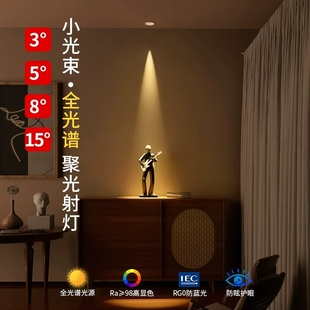 一束聚光射灯小角度光束角3度5度8度嵌入式玄关防眩天花灯开孔