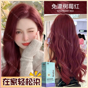 流行色自己在家染头发膏剂 染发膏新款 自己在家轻松 免漂树莓红